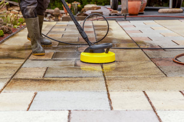 Best Warehouse Cleaning  in Morrice, MI